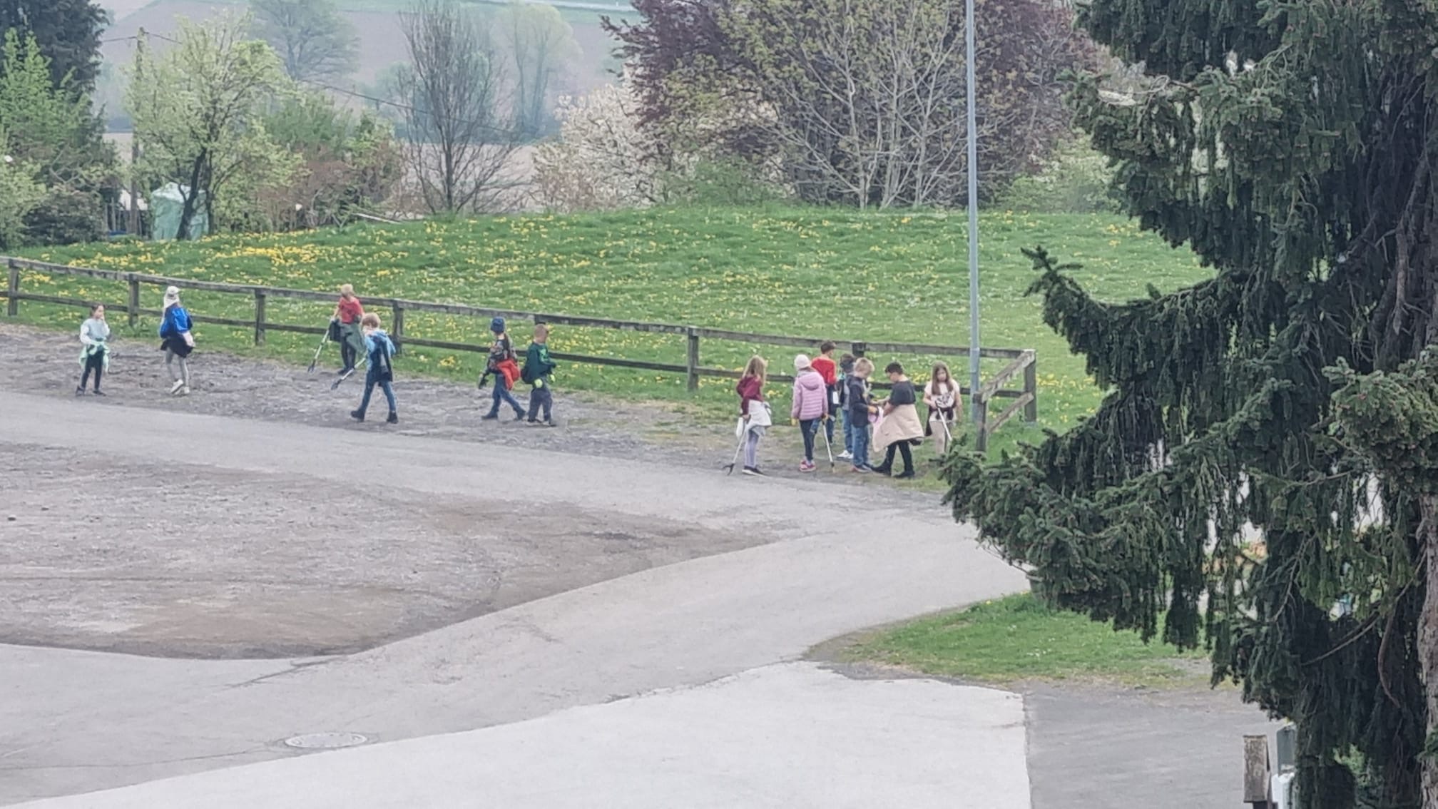 d9601f2a db15 464e 9a6c 1cf19cbeb555