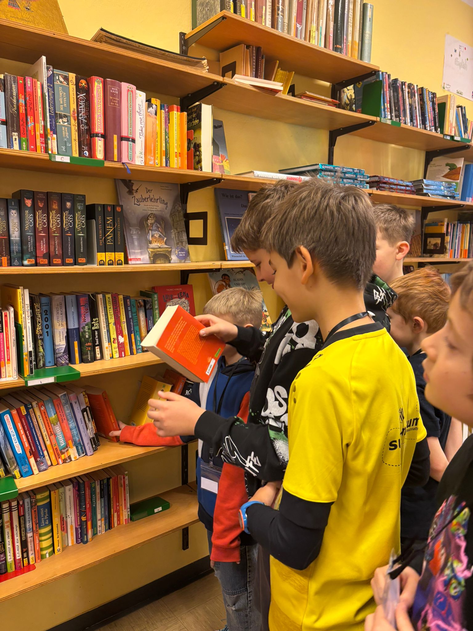 original DA0391C2 B5F8 4B33 9853 B97CC3003FC1